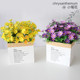Pastoral plastic daisy fence living room ornaments flower arrangement