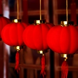 Маленький красный фонарь с горшечным растением подвесной украшение 2025 фестиваль фестиваль фестиваль