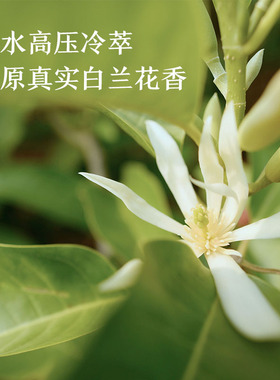 饱和冷萃白兰花纯露不提护肤精油