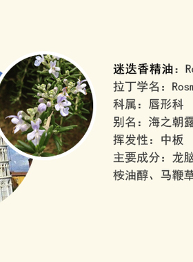 珍恋迷迭香精油100ml护发原料