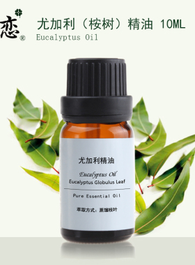 澳洲蓝胶桉树尤加利精油