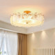 Muting Shell Art Glass French Bedroom Lamp