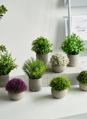 新年浴室柜卫生间小摆件洗漱台花瓶餐厅绿植服装店鞋柜多肉植物盆