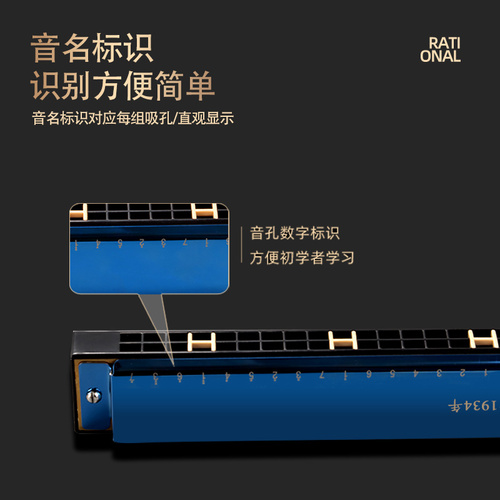 口琴国光24孔复音重音C调28孔宽音域初学儿童专业演奏级口风琴