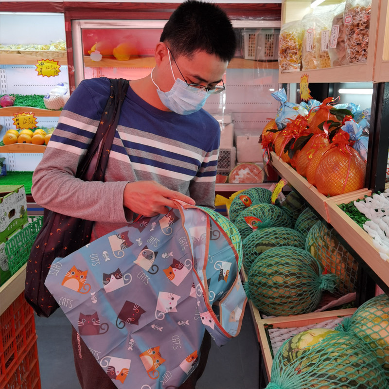 日系可爱卡通买菜包折叠便携中号环保购物袋手提袋超市防水收纳袋,淘宝优惠券,粉丝福利购,淘宝优惠卷