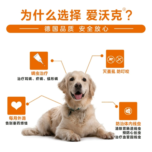 Awhak Dog Dewerming Medicine за пределами интегрированных насекомых -высказывания поклонялись собаке собака собака с собакой великая собака