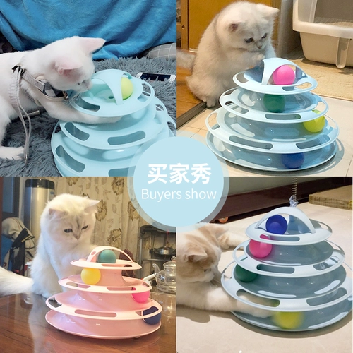 Игрушка, домашний питомец, котенок, кот
