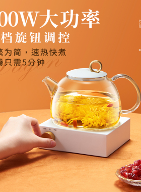 家用养生壶多功能一体