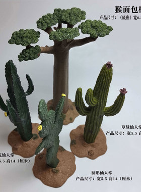 仿真仙人掌屋仙人掌微景观摆件