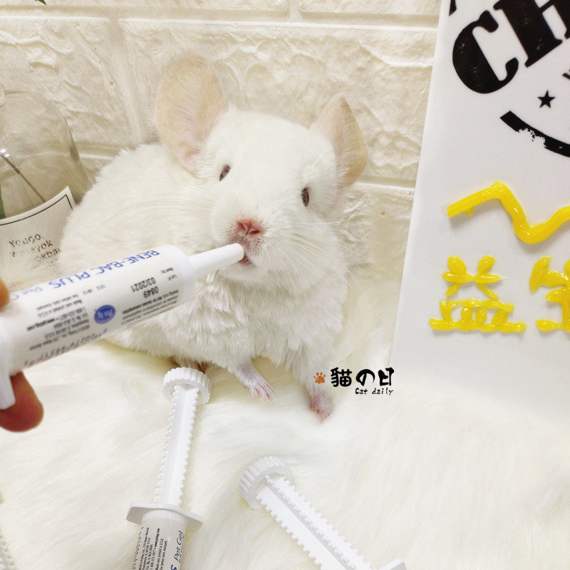 帮你壮益生菌整肠生豚鼠仓鼠龙猫兔子猫狗软便秘挑食胀气调理肠胃,淘宝优惠券,粉丝福利购,淘宝优惠卷