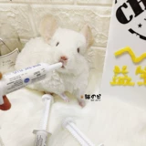 Помочь вам сильной пробиотической биологической биологической дельфиновой крысы, хэк, кролика, кролика, кошки и собаки, мягкого запора, затмения, лечения желудка и кишечника