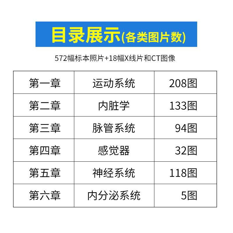 全彩人体解剖学图谱专科本科生专用书籍医学生奈特人体结构彩色学图谱军事医学科学社断层解剖3d系统速记构造类书籍医疗人卫生图册-图2