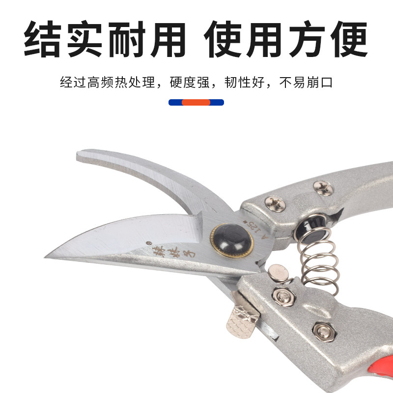 修羊蹄子剪刀羊修蹄刀兽用剪蹄刀羊修蹄工具剪脚趾剪子刀养羊用品,淘宝优惠券,粉丝福利购,淘宝优惠卷