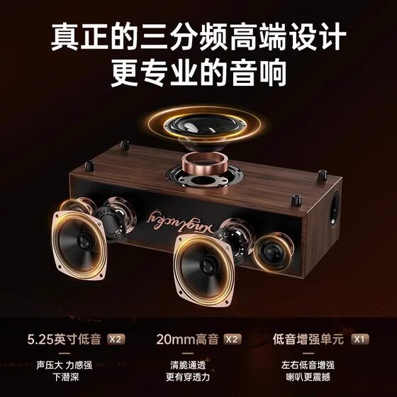 金运Kinglucky热销V1家庭影院K歌音响 KTV直播健身戏曲音箱一体机