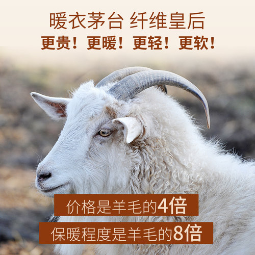 德绒保暖内衣女半高领打底衫秋冬季新款无痕上衣加绒秋衣秋裤套装 - 图2