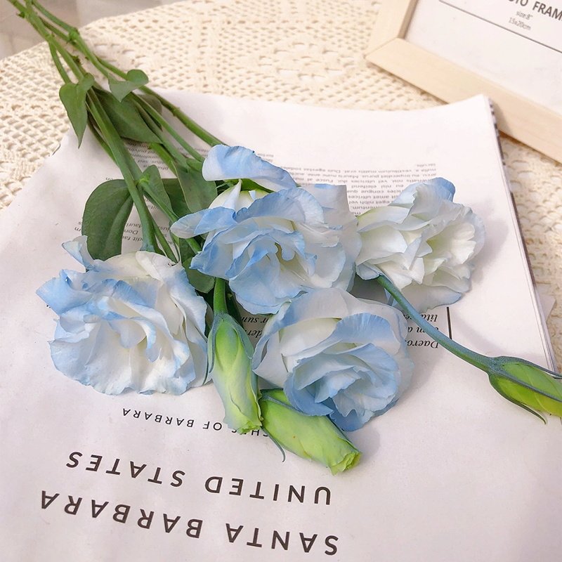 喷色碎冰蓝洋桔梗云南昆明基地直发新鲜插花家用水养真花鲜切花束,淘宝优惠券,粉丝福利购,淘宝优惠卷