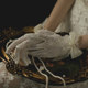 Bridal Wedding Gloves Short Butterfly Wedding Gauze Handkerchief