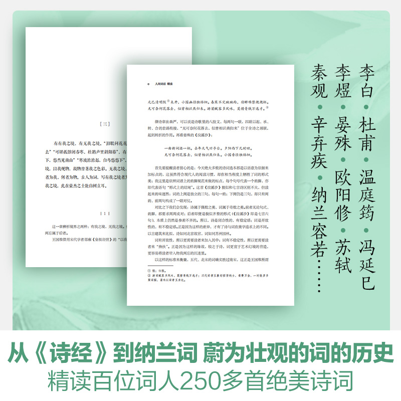 现货包邮 人间词话精读新版 苏缨  融和中国传统诗论西方美学理论解读人间词话王国维诗词鉴赏  文学批评注释赏析中国古诗词书籍 - 图1