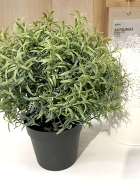 宜家 菲卡 人造盆栽植物 仿真盆景盆栽 绿植 牛至 百里香 迷迭香