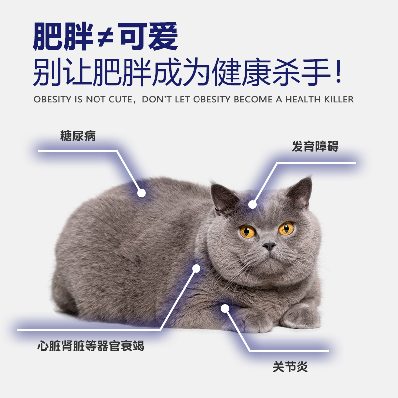 kingjerry绝育猫粮公猫绝育猫专用母猫通用 10斤-图1