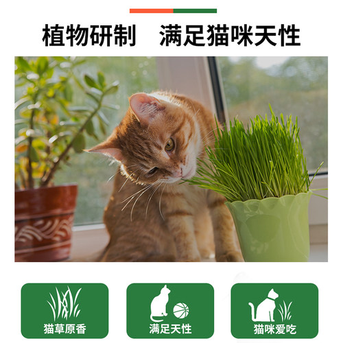 金吉瑞king jerry猫咪化毛球片 毛球管理营养化毛膏化毛猫草片 - 图0