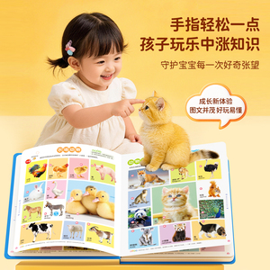 商品图片
