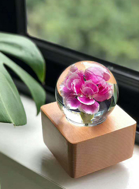 康乃馨标本蓝牙音响母亲节水晶球