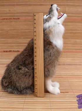 仿真摆件创意模型工艺品