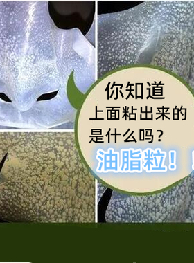 生物纤维面膜贴透析控油吸油脂粉刺去黑头深层清洁毛孔清洁面膜纸