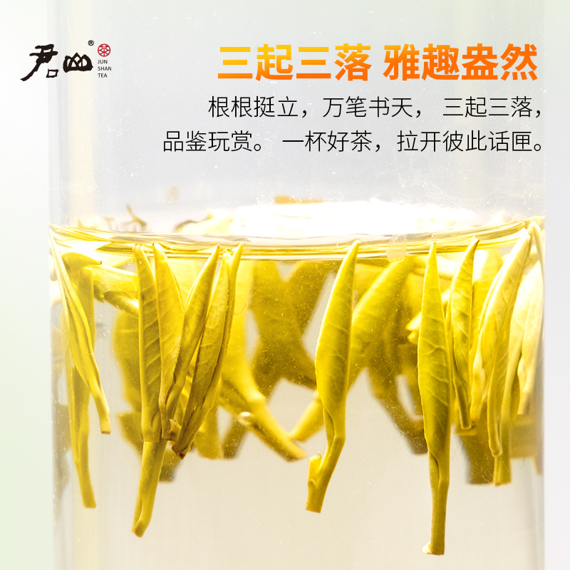 【君山牌】2024年明前新茶君山银针湖南特产特级岳阳黄茶春茶100g - 图0