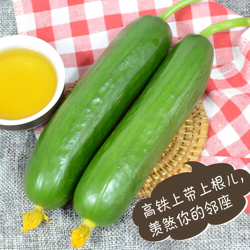 水果小黄瓜新鲜小黄瓜青瓜山东生吃脆嫩清甜旱黄瓜白玉黄瓜花整箱 - 图0