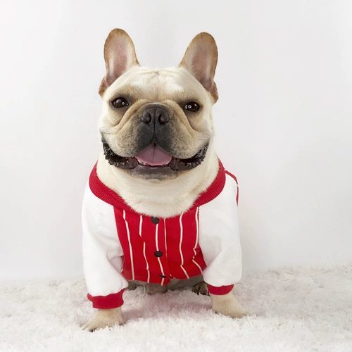 Французская одежда для собак осень и зимняя одежда