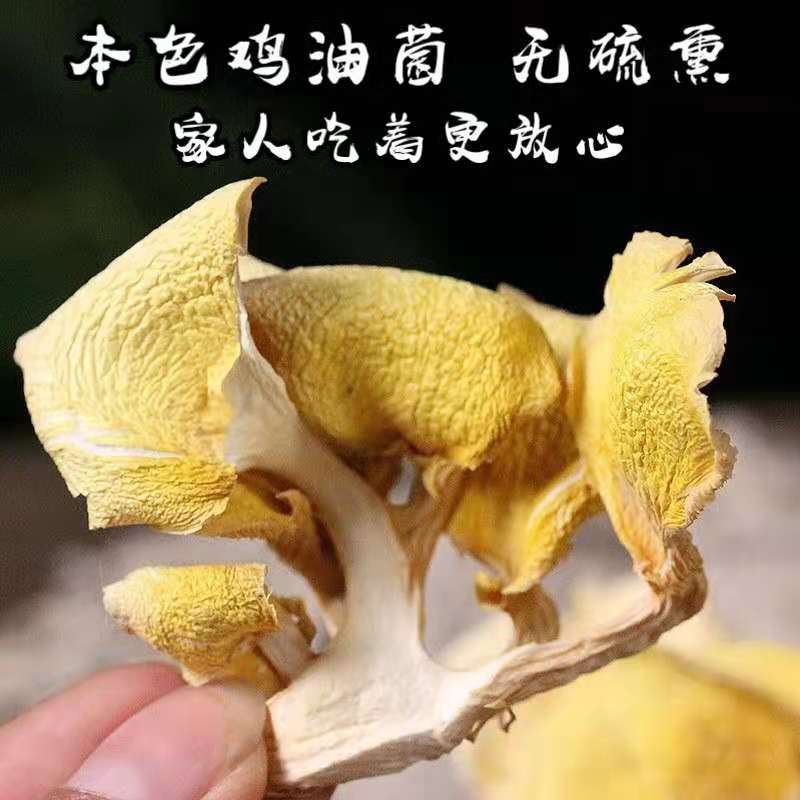 野生菌鸡油菌干货500g黄丝菌云南土特产榆黄磨特级黄香菇煲汤包邮 - 图0