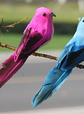 彩色真羽毛泡沫墙面园林小鸟