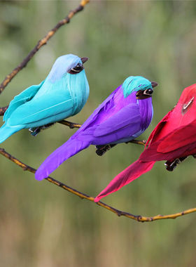 夹子园林泡沫教学道具装饰工艺品