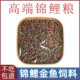 ອາຫານປາໃນຄົວເຮືອນພິເສດສໍາລັບ koi ແລະປາຄໍາ