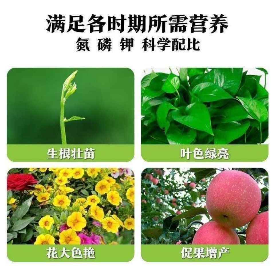 氮磷钾复合肥绿植花卉缓释肥颗粒盆栽家用多肉专用通用控释肥料-图2