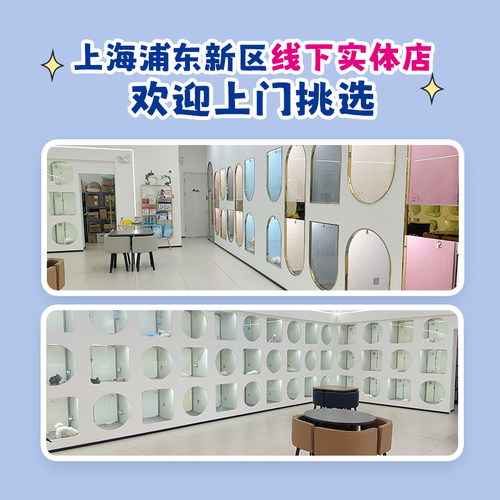 纯种马尔济斯幼犬韩版双血统宠物狗狗标体小体超小体上海cku犬舍 - 图2