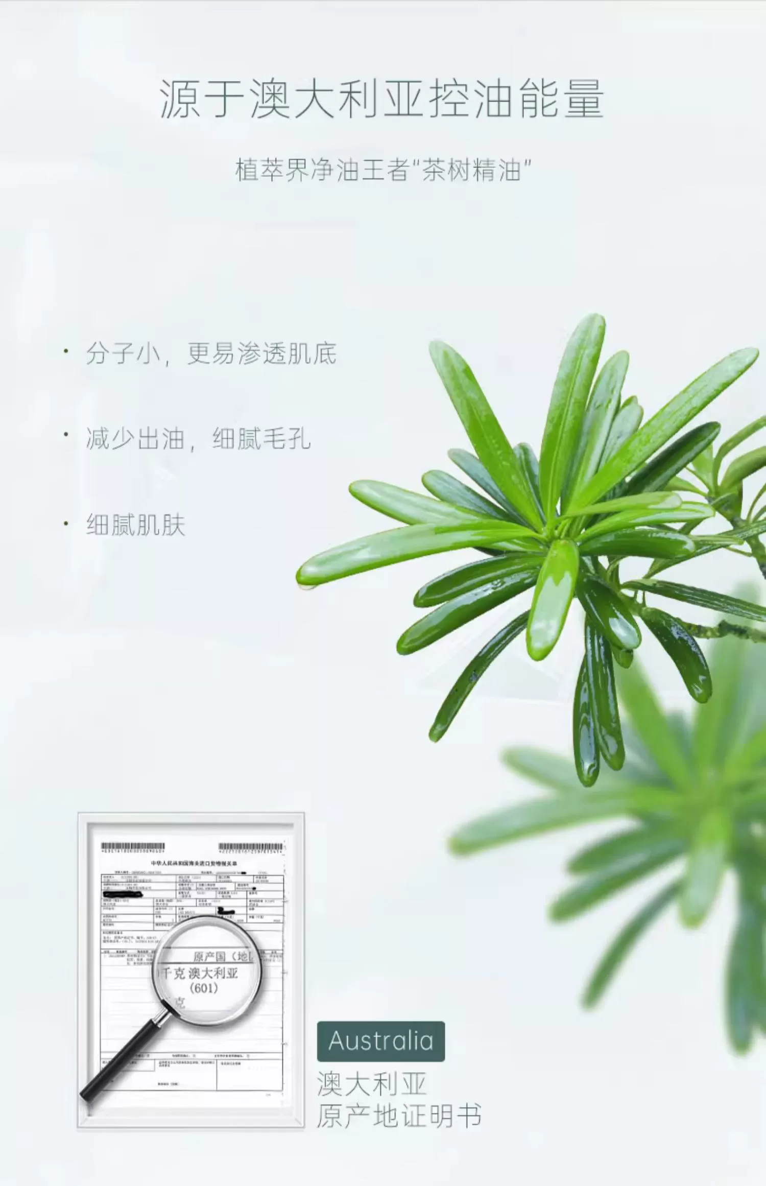 amource/艾玛丝北领地茶树爽肤水120ml保湿控油清爽化妆水女正品 - 图2