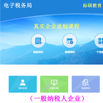 General Taxpayer Tax Returns Enterprise Accounting Zero Declaration Electronic Tax Office Online Transcript Tax Real Playground Tutorial