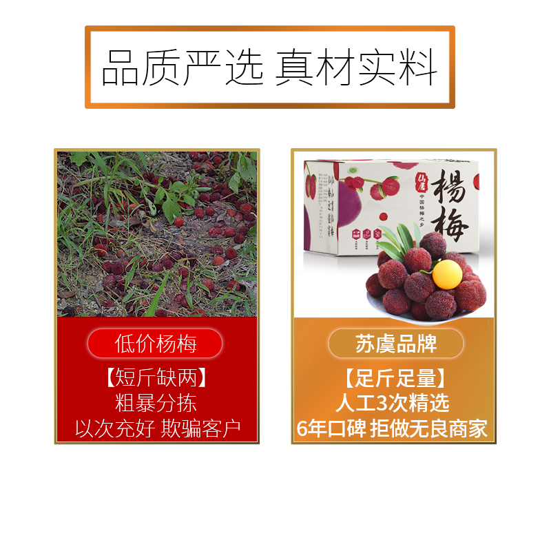 苏虞旗舰店正宗仙居杨梅新鲜东魁杨梅特级当季孕妇水果大杨梅现摘现发颗粒装1