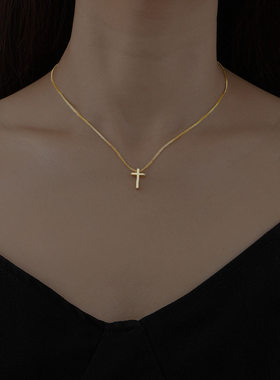 Crossbdelavicuhngptk