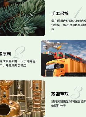 天然植萃松针油雪松单方精油清新空气香薰舒缓