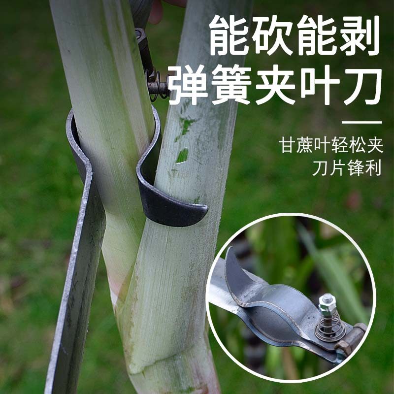 多用途砍甘蔗剥叶刀修蔗专用长柄刀越南砍蔗镰刀手动推削叶子农具,淘宝优惠券,粉丝福利购,淘宝优惠卷