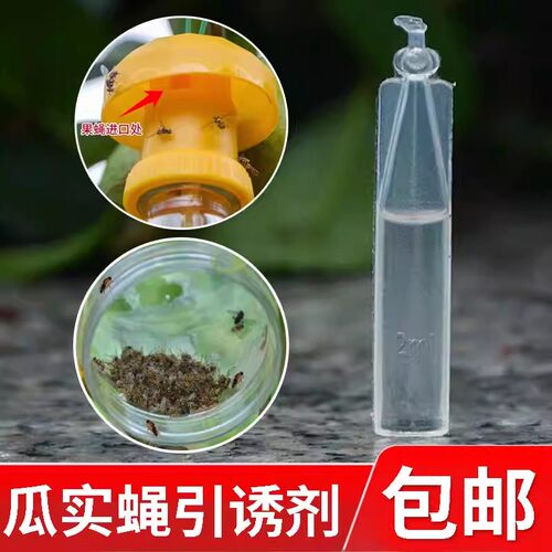 果蝇引诱诱捕器果园引诱剂药水植物果园柑橘桔小实蝇针蜂瓜蝇诱药 - 图0