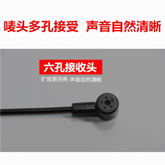 Teacher head-worn classroom microphone Seiko Bee