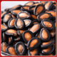 Plum flavored watermelon seeds and Bean Bear 250g bag
