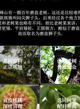文玩核桃磨盘狮子头闷尖老树盘玩包浆玉化把玩麻核桃手把件
