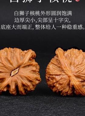 文玩核桃狮子头手把件女士收藏级闷尖古玩男生白狮子核桃手玩