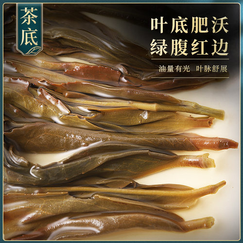 鸭屎香凤凰单枞茶特级乌岽春茶潮州大乌叶新茶乌龙茶凤凰单丛500g - 图2